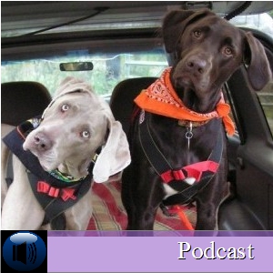 deservedogs