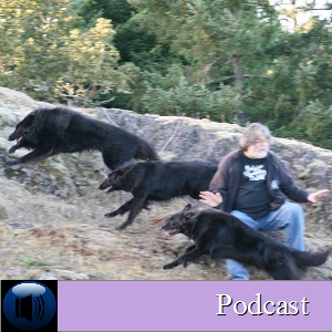 3 Dogs